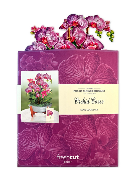 Orchid Oasis