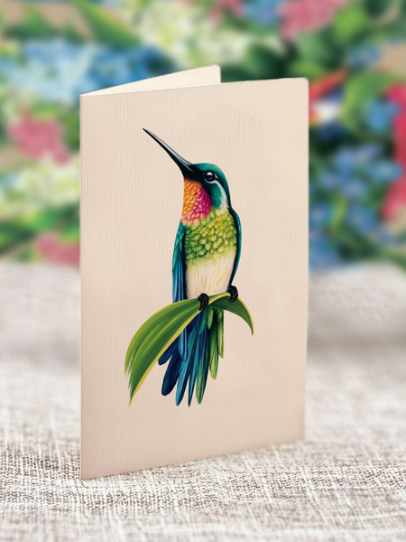 Hummingbird Oasis