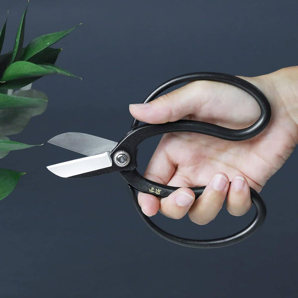 Ikebana Scissors