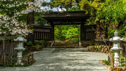 Hakone Garden Annual Membership